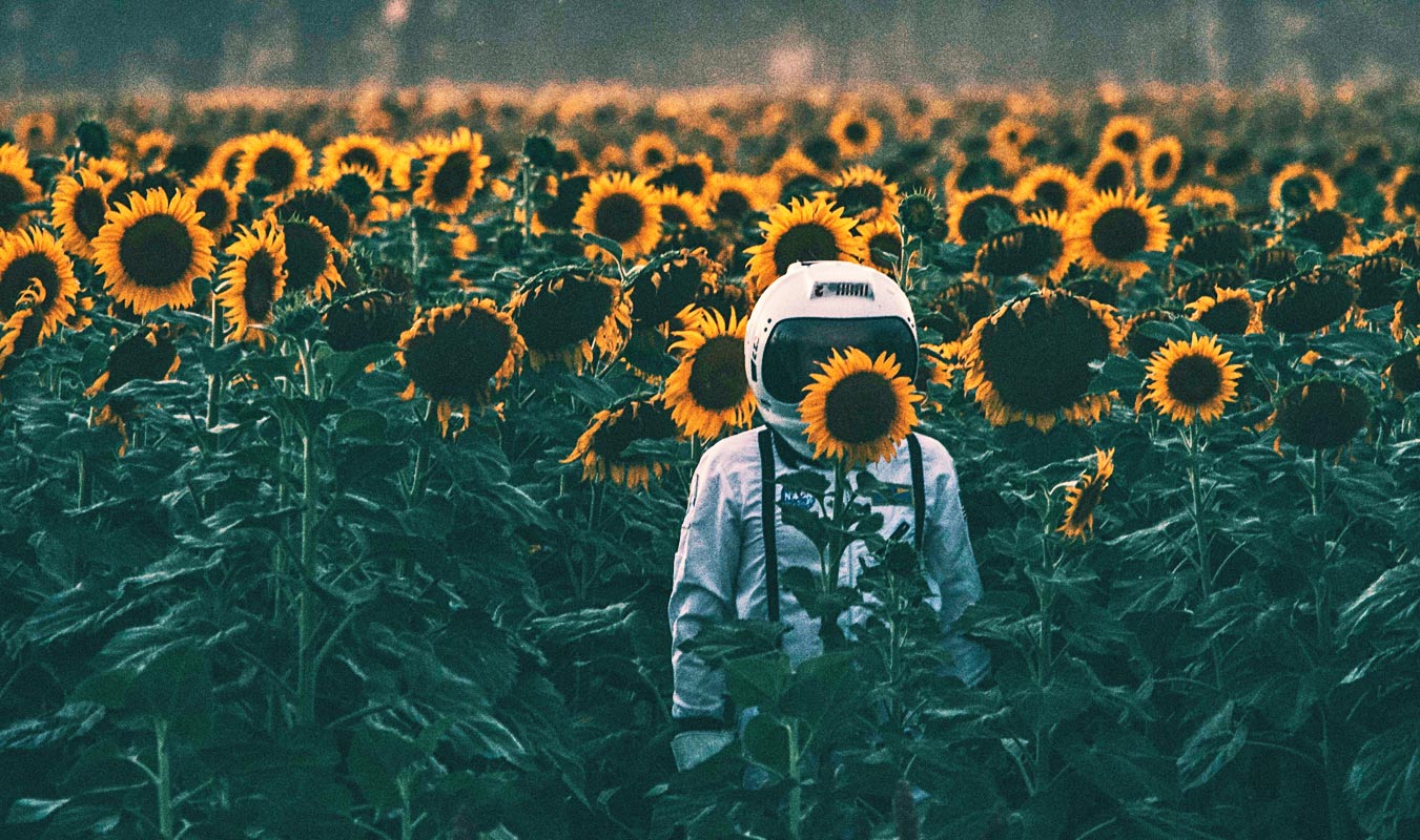 love and purpose
